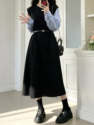 Contrast Sleeve A-line Dress With Belt, side view