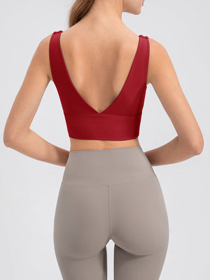 Scarlet backless crop top with V-neck and knotted shoulder straps, activewear style.