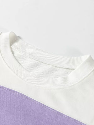 Colorblock Patchwork Drop Shoulder Sweatshirt in Multicolor, product detail