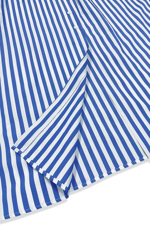 Striped Long Sleeve Maxi Shirt Dress in Light Blue, back view