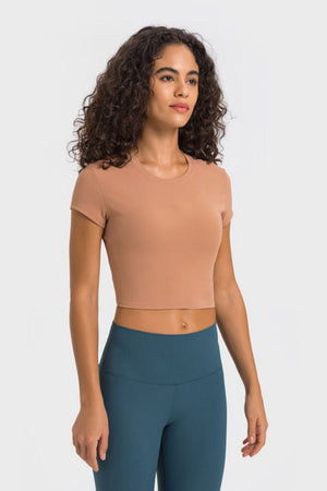 Brown ribbed crewneck crop top with short sleeves.
