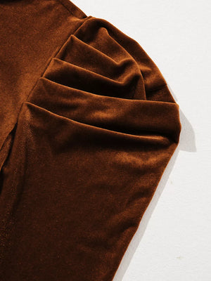 Brown velvet blouse with ruched sleeve detail and mock neck.