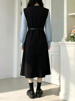 Contrast Sleeve A-line Dress With Belt, back view