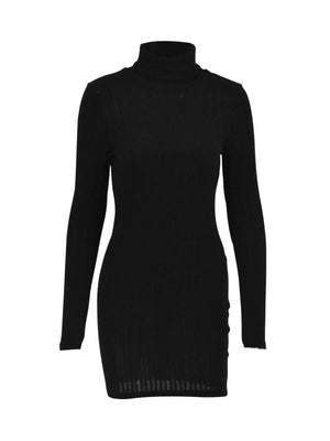 Black ribbed turtleneck bodycon mini dress with long sleeves.