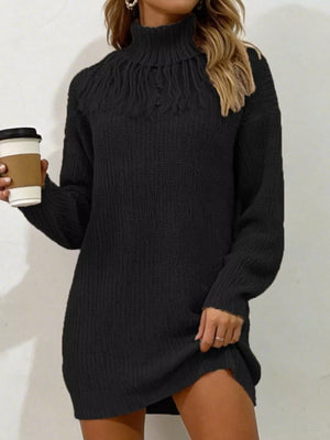 Full Size Turtleneck Fringe Sweater Dress in Burgundy, back view