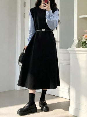 Contrast Sleeve A-line Dress With Belt, close-up detail