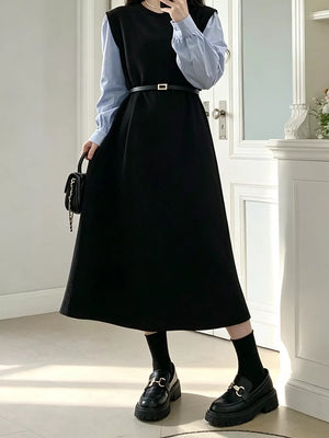Contrast Sleeve A-line Dress With Belt, model styling view