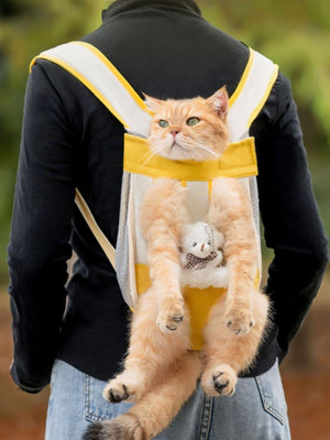 Yellow and white front-pack pet carrier with a cat inside, worn on a person's back.