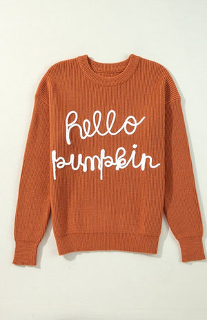 Terracotta knit sweater with white "hello pumpkin" script graphic.