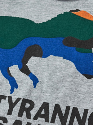Grey cotton crew neck t-shirt with colorful dinosaur graphic and text.