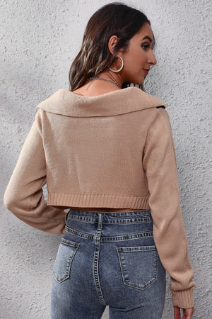 Argyle collar crop knit sweater in taupe acrylic with a wide collar and ribbed cuffs.
