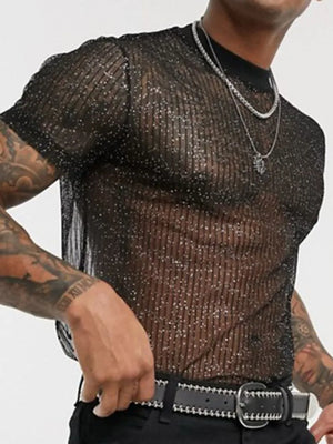 Black glitter mesh mock neck tee with vertical stripes and short sleeves.