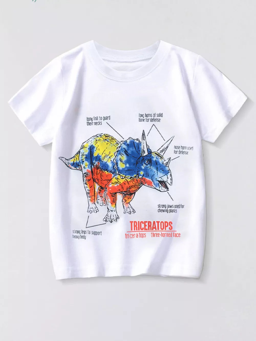 Triceratops Graphic Tee For Little Explorers
