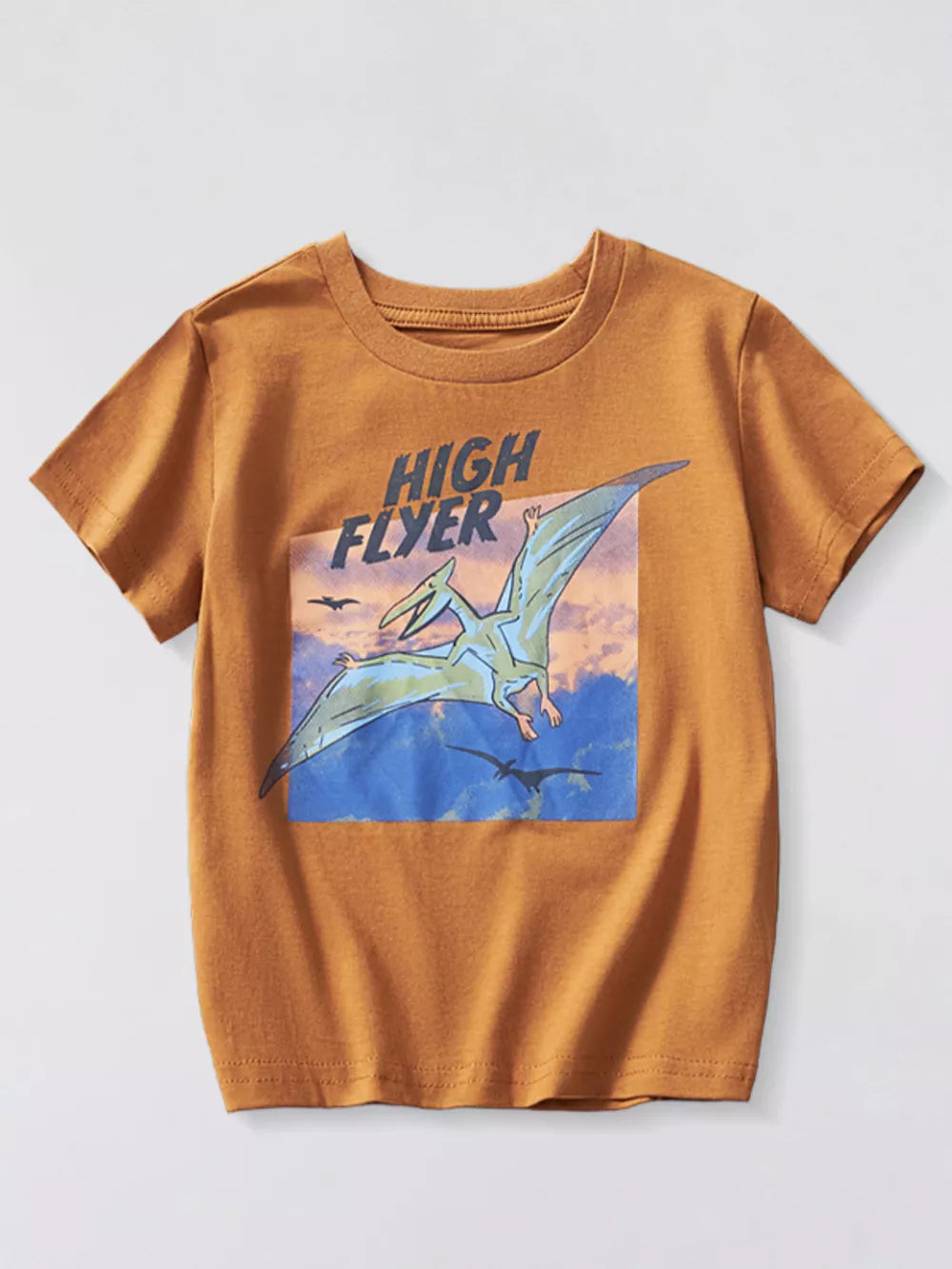 Triceratops Graphic Tee For Little Explorers