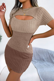 Ribbed knit mini dress in khaki and brown with short sleeves and a cutout neckline.