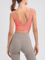 Coral backless crop top with deep V-neck and wide band, shown from the back.