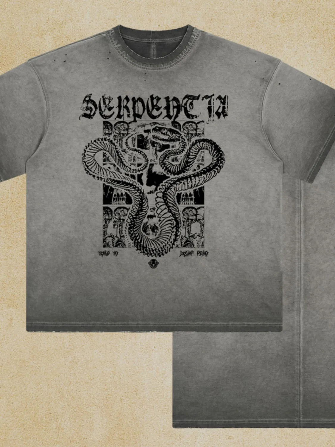 Gray washed oversized graphic tee with a serpent and architectural design print.