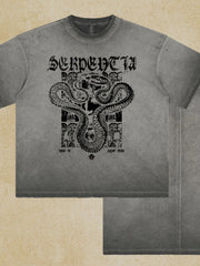 Gray washed oversized graphic tee with a serpent and architectural design print.