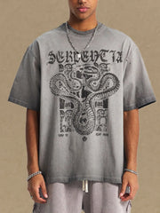 Washed gray oversized graphic tee with snake and architectural design print.