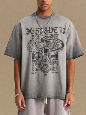 Washed gray oversized graphic tee with snake and architectural design print.