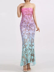 Ombre Floral Embroidered Maxi Dress