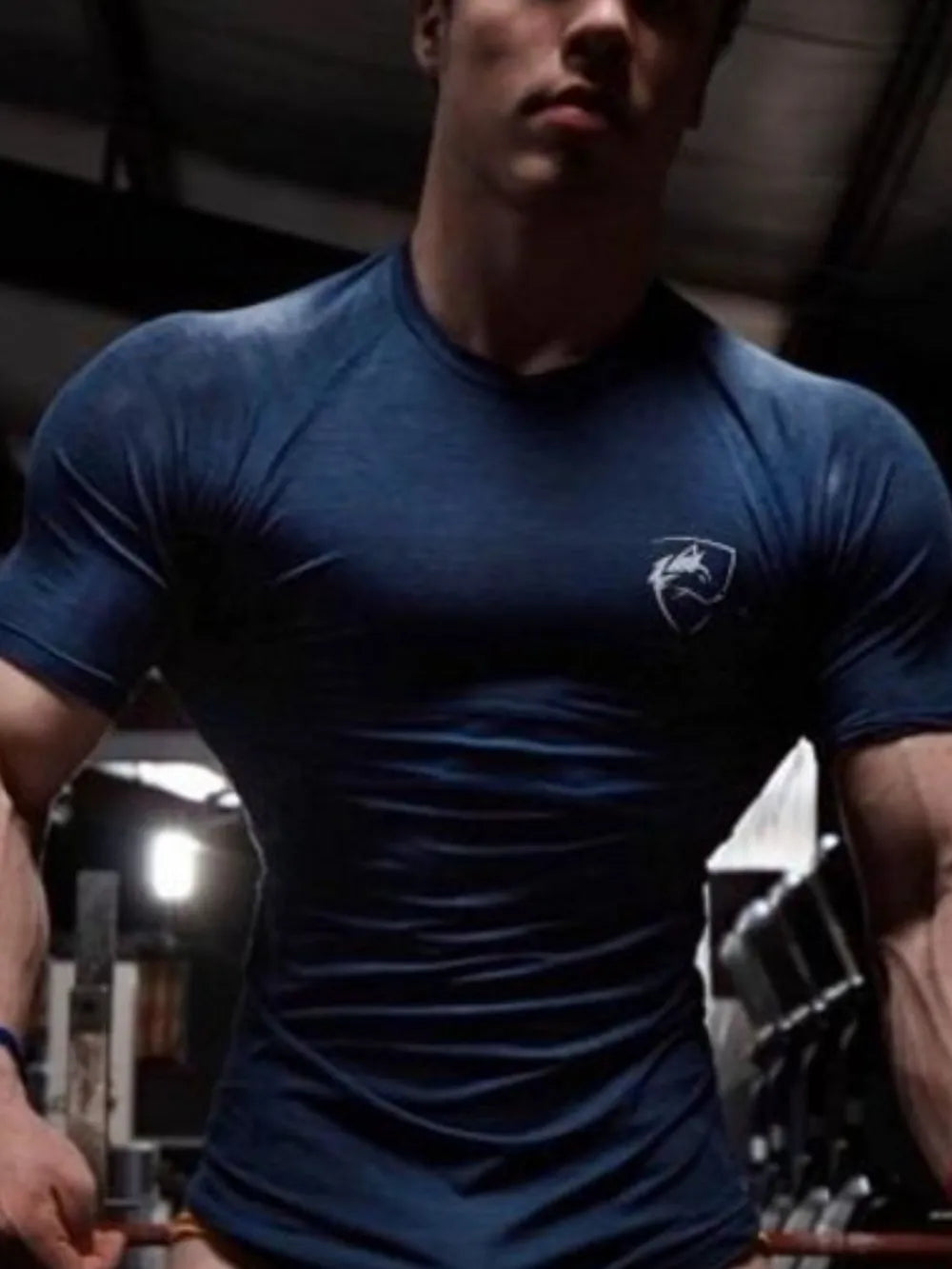 Performance raglan tee in blue with emblem detail on chest.