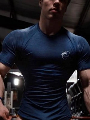 Performance raglan tee in blue with emblem detail on chest.