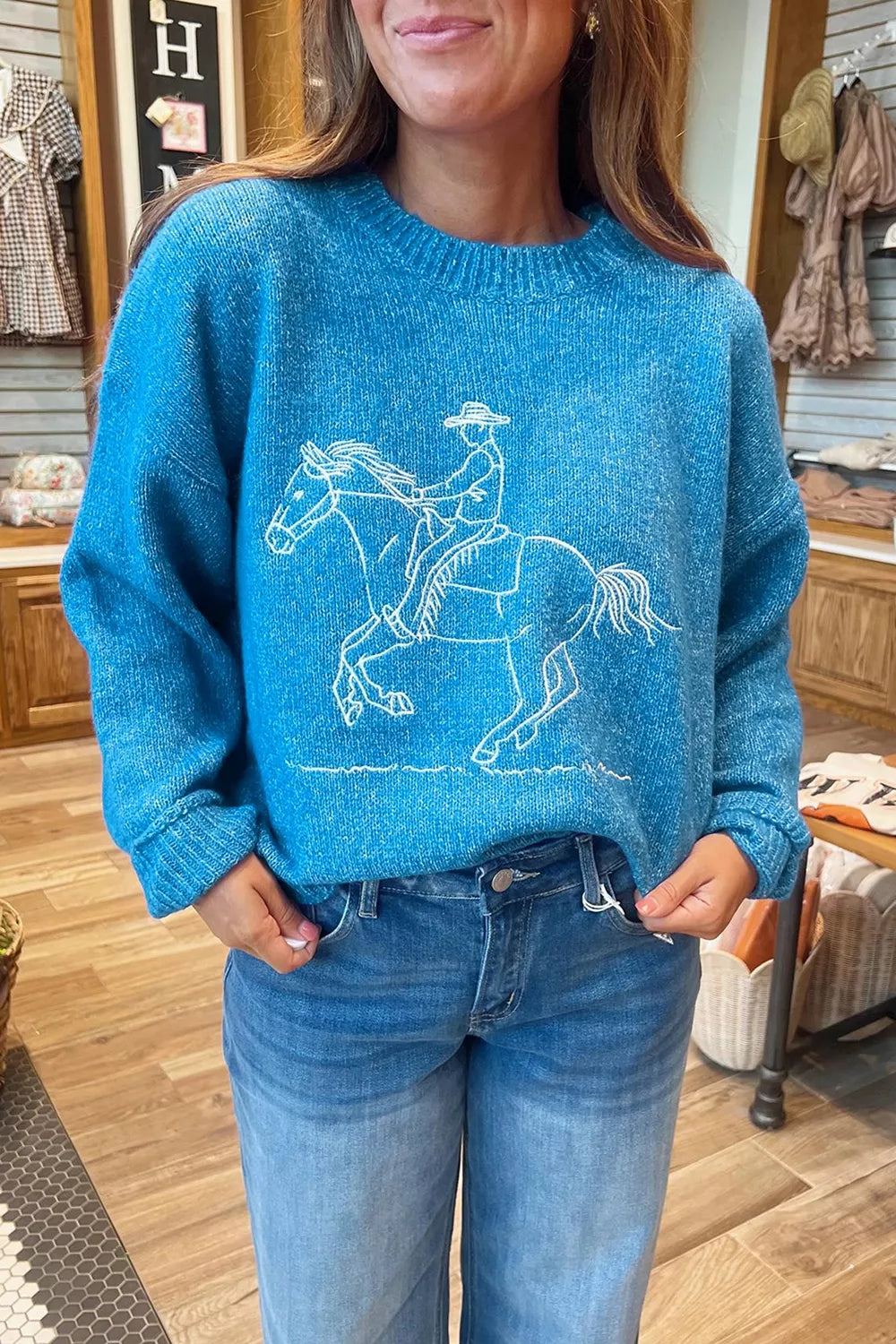 Western Embroidery Drop Shoulder Sweater in Sky Blue, back view