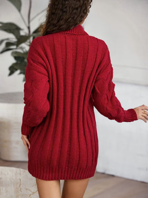 Burgundy cable knit turtleneck mini dress with ribbed texture and cable detail on sleeves.