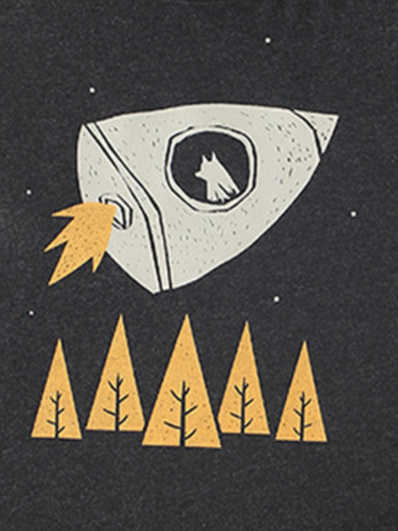 Dark grey cotton crew neck toddler t-shirt with a rocket graphic and dog in window.