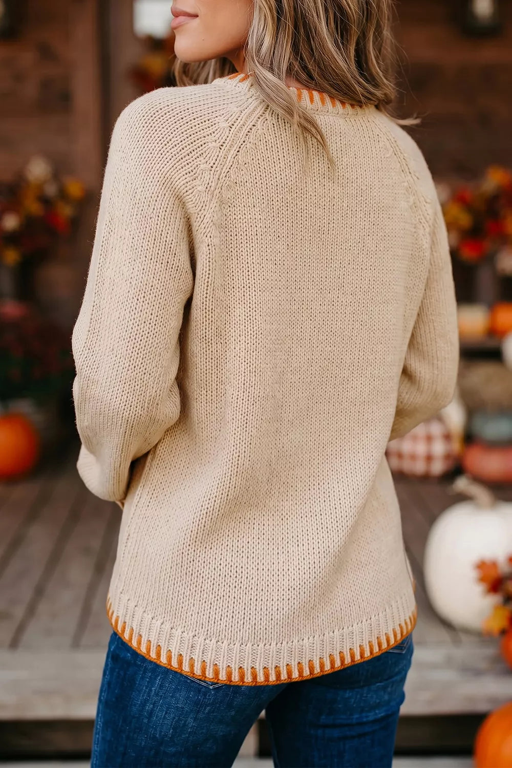 Floral Embroidery Pumpkin Long Sleeve Sweater, back view