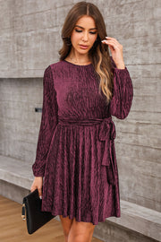 Wine velvet mini dress with textured pleats, long sleeves, and a tie waist.