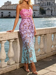Ombre Floral Embroidered Maxi Dress