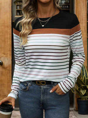 Color block stripe crew neck top with black, brown, and multi-color stripes.