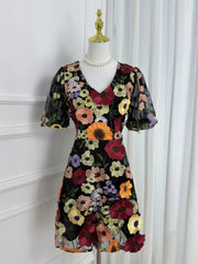 Floral Embroidery V-neck Mini Dress