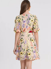 Floral Embroidery V-neck Mini Dress