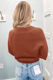 Ribbed Knit Round Neck Short Sleeve Sweater in Brown, model styling view