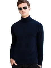 Men's dark blue turtleneck sweater with a modern silhouette and long sleeves.