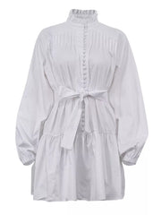 Elegant Balloon Sleeve Mini Dress
