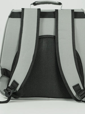 Grey pet carrier backpack with padded straps and mesh back panel.