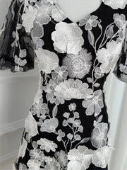 Floral Embroidery V-neck Mini Dress