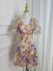 Floral Embroidery V-neck Mini Dress