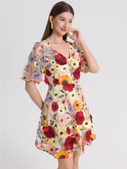 Floral Embroidery V-neck Mini Dress