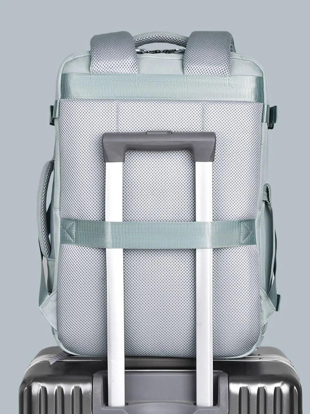 Gum Leaf structured backpack with padded straps and luggage strap detail