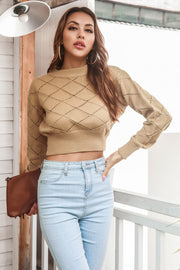 Camel diamond knit cropped sweater with crew neck and long sleeves.