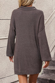 Ribbed knit polo dress in chocolate with long sleeves and pockets.