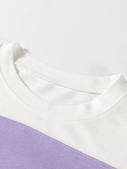 Colorblock Patchwork Drop Shoulder Sweatshirt in Multicolor, product detail