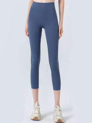 Dusty blue cropped leggings with a high waistband and mesh detail.