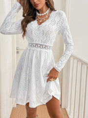 White lace openwork V-neck a-line dress with long sleeves and a cinched waist.