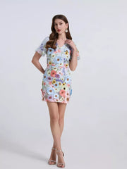 Embroidered floral mini dress in sky blue with puff sleeves and V-neck.